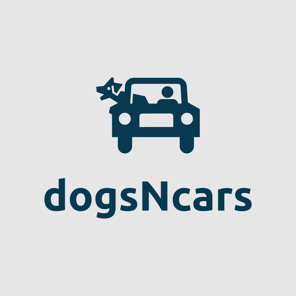 dogs in cars